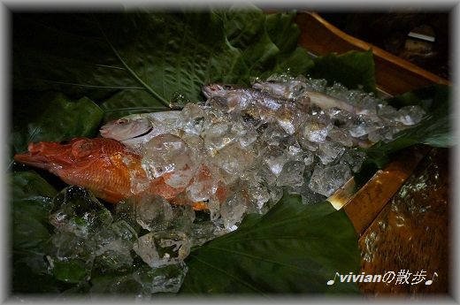 沖縄の魚.jpg