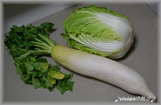 白菜と大根.jpg